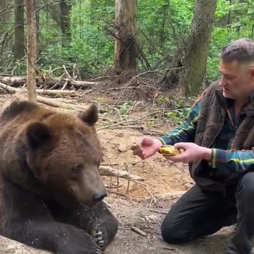 Russians and their bears! +🍔 The Bear knows what's good, and it's not McDo, Burger King and Co! 😂