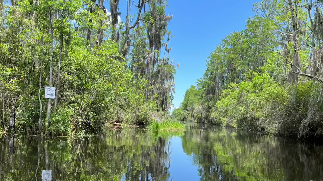 Okefenokee Adventure