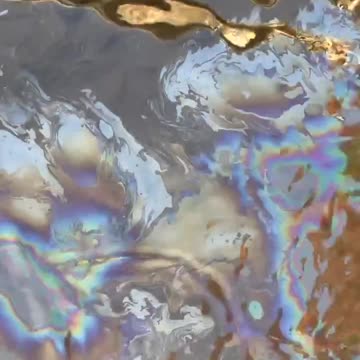 Palestine disaster coverup part 2