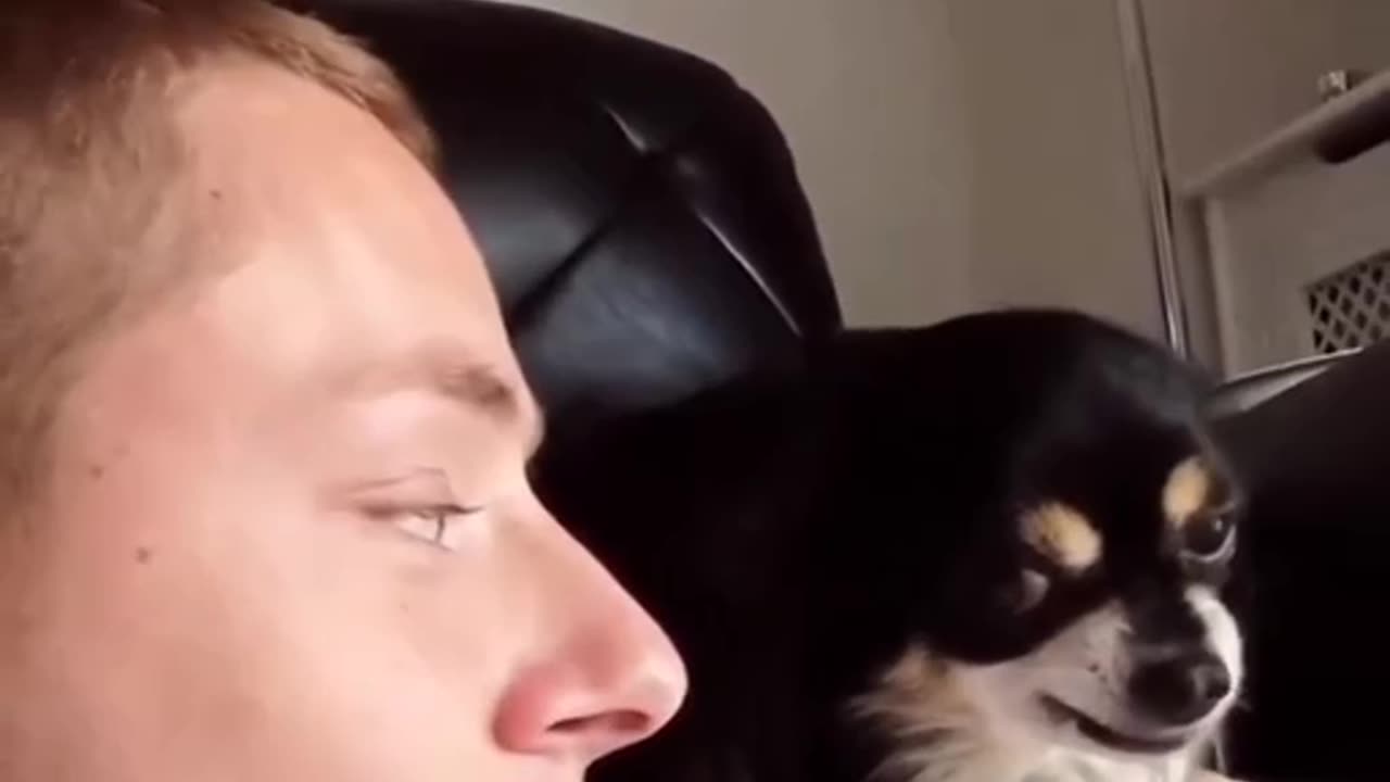 TRY NOT TO LAUGH 😆 Best Funny Videos Compilation 😂😁😆