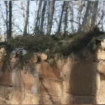 Alternative Building Materials