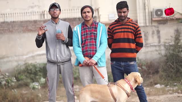 Dog bark Prank ( funny videos)