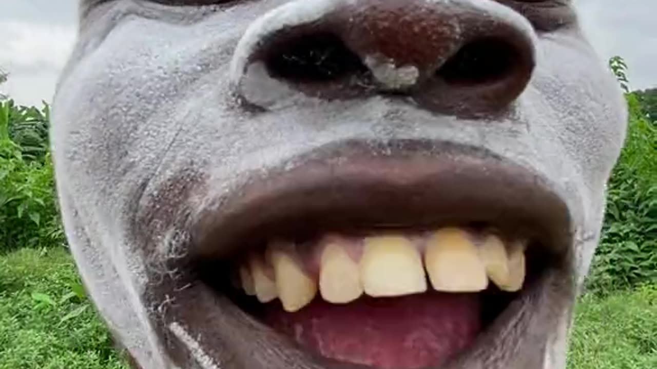 Funny guy