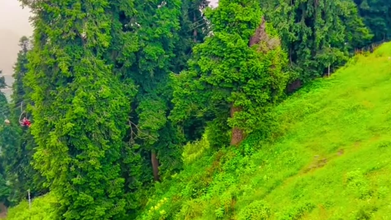 Malam jaba swat view