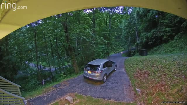 Bear Breaks Into Car Through Window