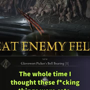 I Thought It Was A Cat 🤨