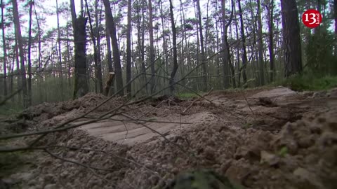 Remains of unidentified military object found in Polish forest, says defence ministry