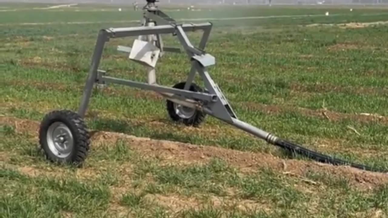 CRC vídeos curiosos