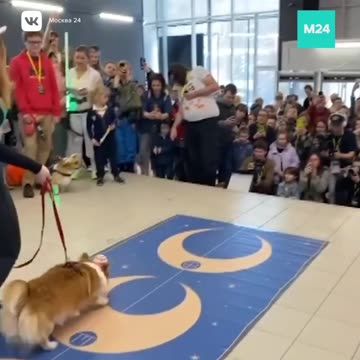 Auditioning for the next Star Wars movie 😂