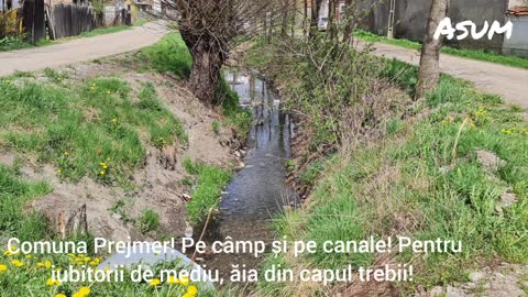 Comuna Prejmer - Brașov!