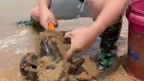 THE BIGGEST LOBSTER IN THE WORLD EVER FISHED