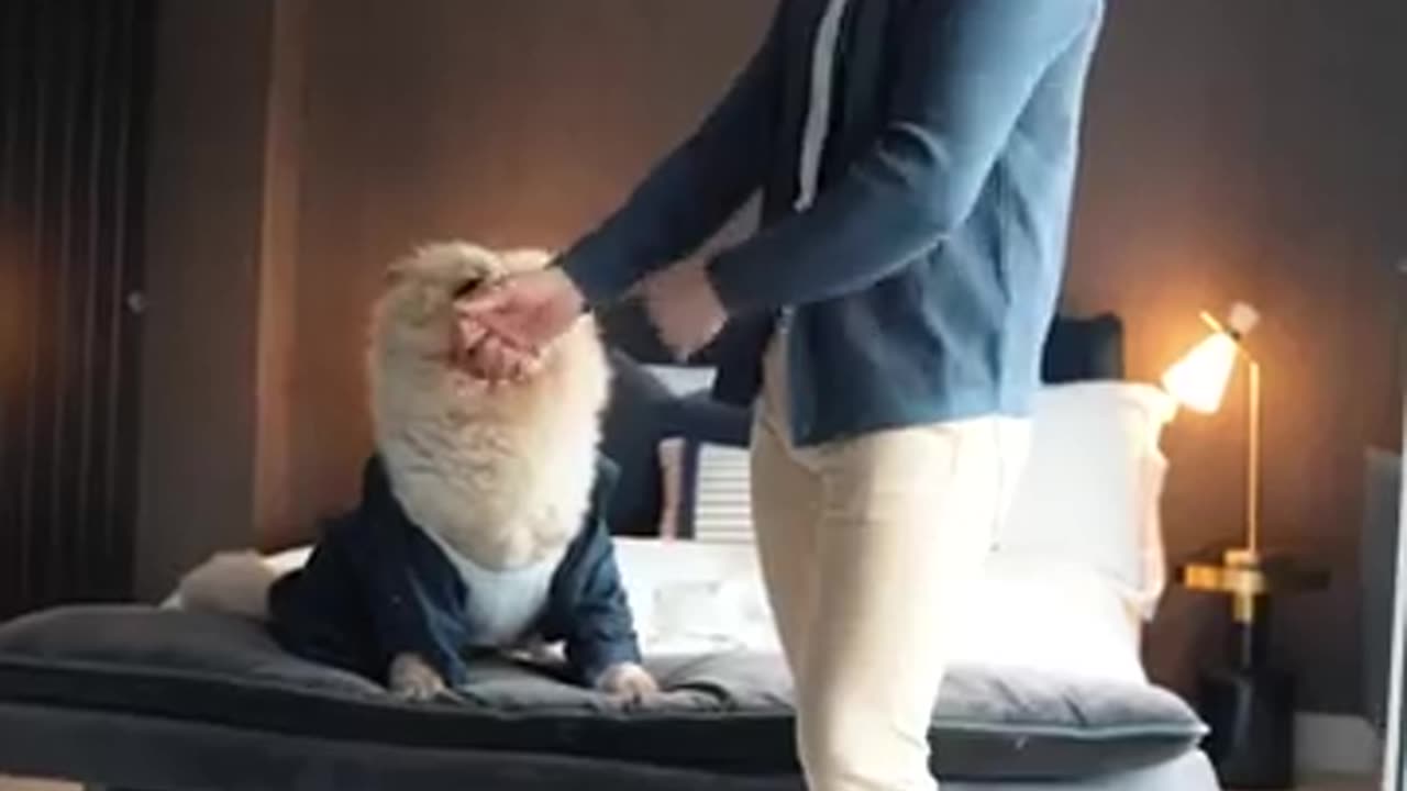 Wow 👌 👏 😍 👍