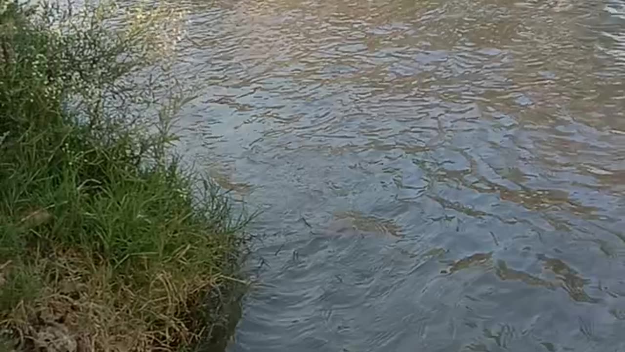 Beautiful Nature in summer COOL water