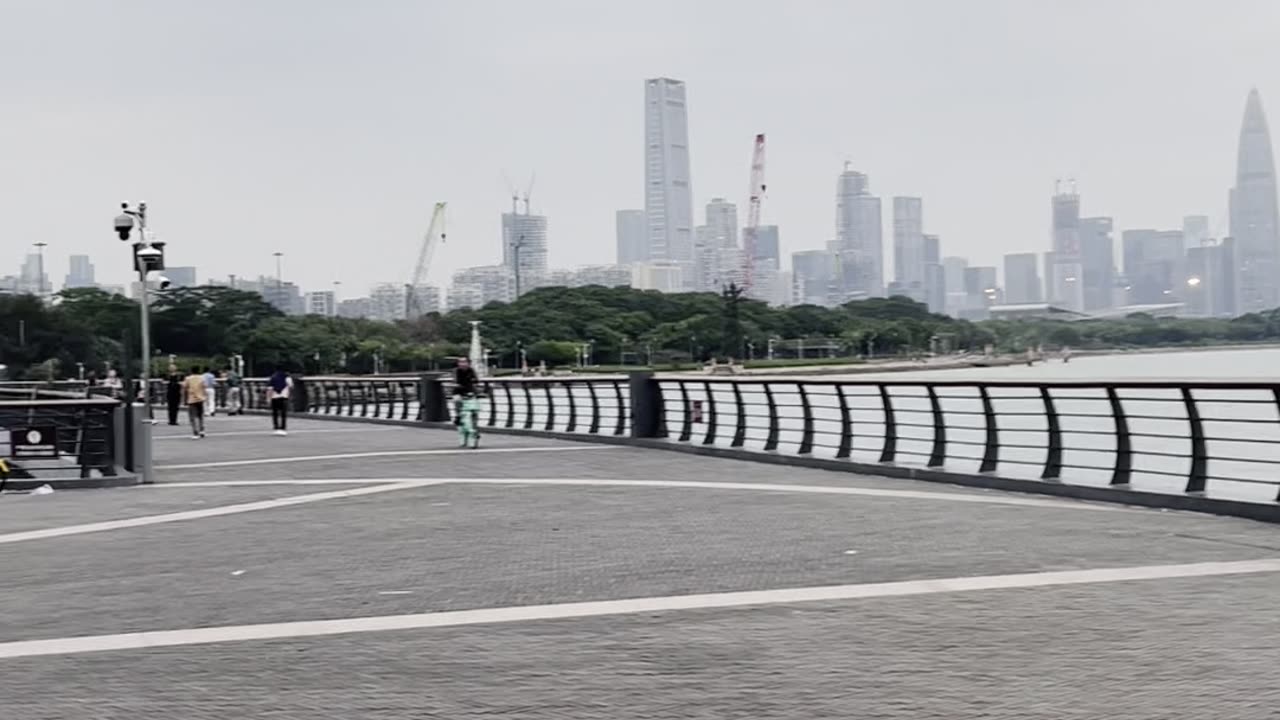 ShenZhen Bay Park🇨🇳 #ShenZhen#SZ#China#SouthofChina#Hansen#HongKong#HongKongBridge#🇨🇳