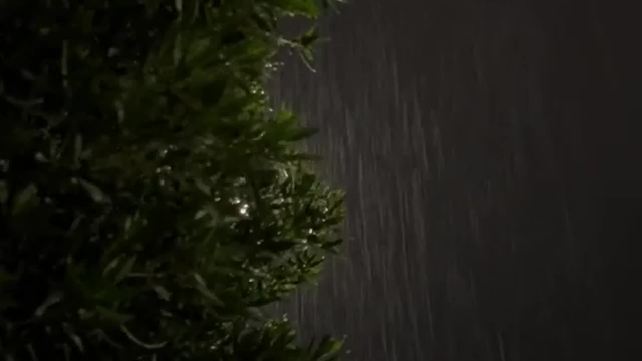 Relaxing Rain Sound