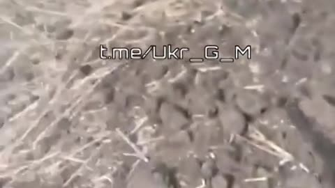 Footage made by Ukrainian Armed Forces militants