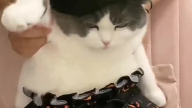 How does my Halloween dress look? How about my dancing?
