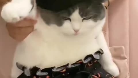 How does my Halloween dress look? How about my dancing?