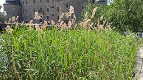 Örebro en varm dag 14 Juni 2022