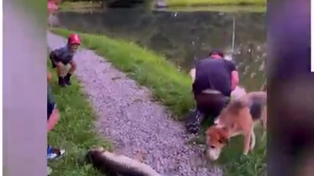 You would not believe if it was not caught on camera