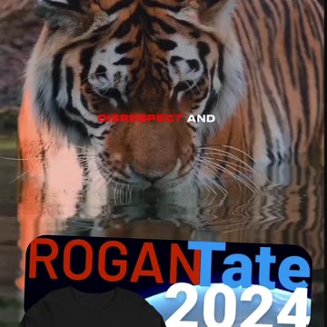 You can't hurt a man that doesn't care about pain palantir pltr btc moon next