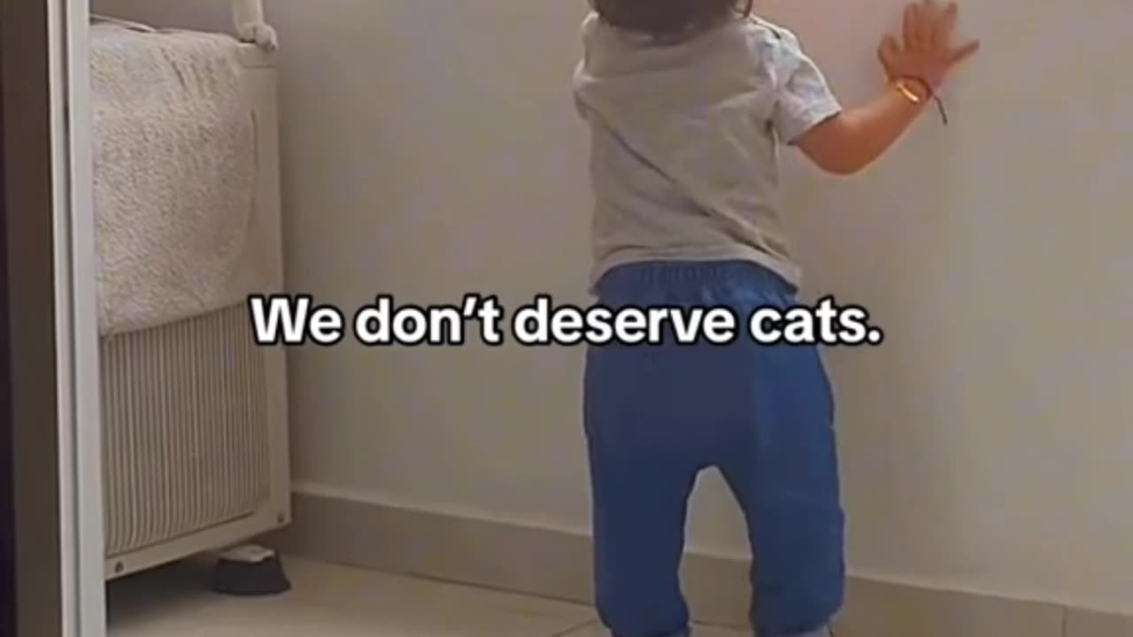 Cats Can be protective