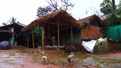 Rainy Season Primitive village fishing technique