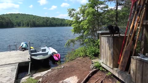 Crusoe the Dachshund's Fishing Trip on his own PRIVATE LAKE