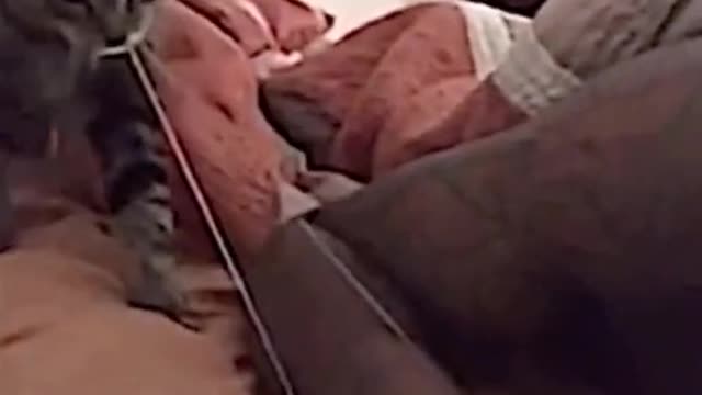 Looks ouch!