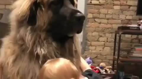 Dog and my child