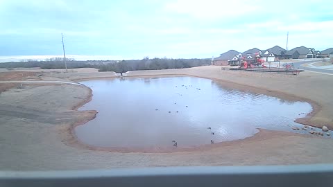 This afternoon 12/14