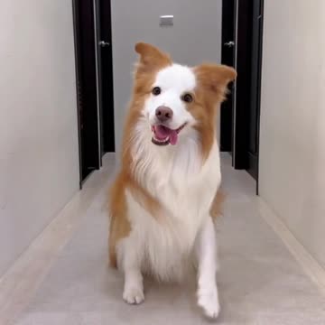 Brother, if my video is good, please fallow me 🙂🙂🙂🙂🙂🙂