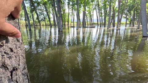 Paddleborading at Chatfield Park - 2023 06-25