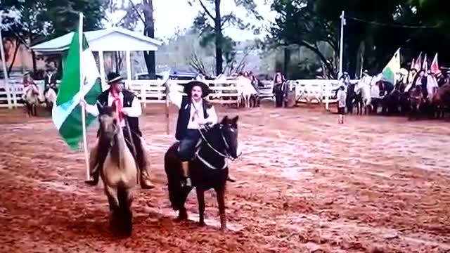 Horse Fail