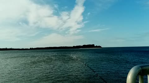 Early bird gets the worm they say