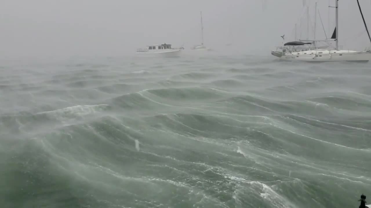 Hurricane Michael - 60 MPH Winds