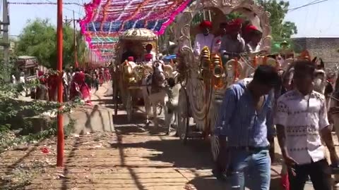 Shree shree 1008 sadhul nath ji maharaj 🚩🚩