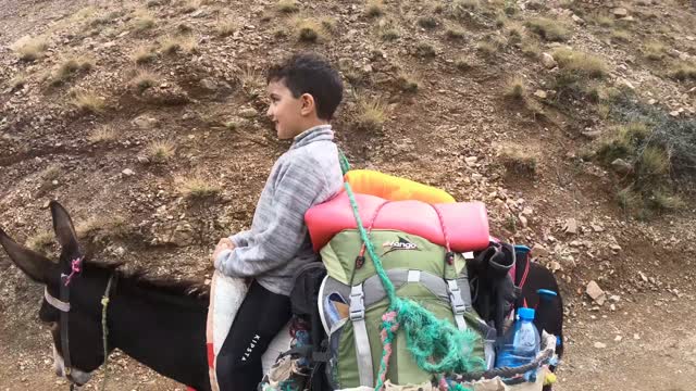 Riding Donkey in Mountains - 4k Video Donkey ride - Choosing name for my own donkey