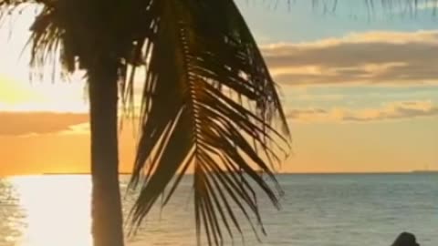 Beach Meditation for Ultimate Relaxation