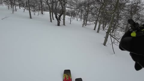 3/1 hitting the trees on the way back to ride the Magic Bus