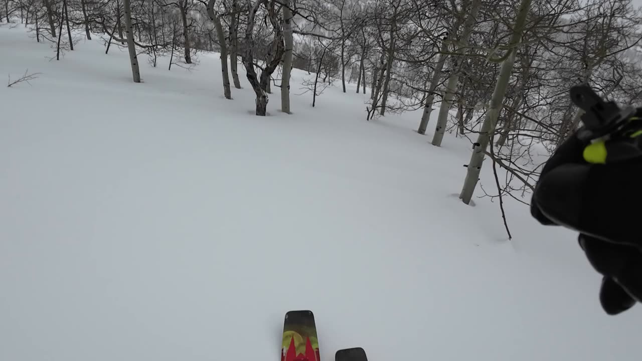 3/1 hitting the trees on the way back to ride the Magic Bus