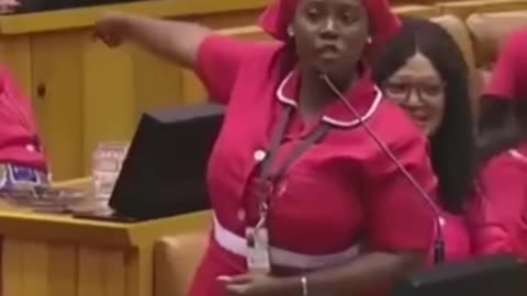 South African Parliament Chronicles Deputy Speaker