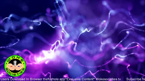 Test Stream #3