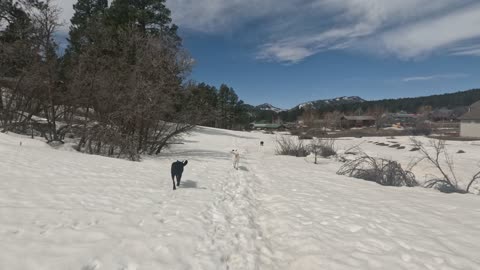 Forest Lakes Hike Pt II