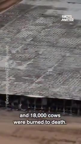 SOUTH FORK DAIRY 18,000 COWS BURNED IN DIMMITT, TEXAS FARM 5-7-23