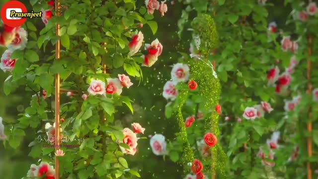 Amazing 😍 Nature Goddess 😘 Green 3d World whatsapp status video by Prasenjeet Meshram top status