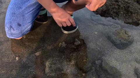 Look what I found at low tide—a squishy sea cucumber!