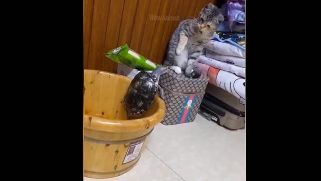 Funny