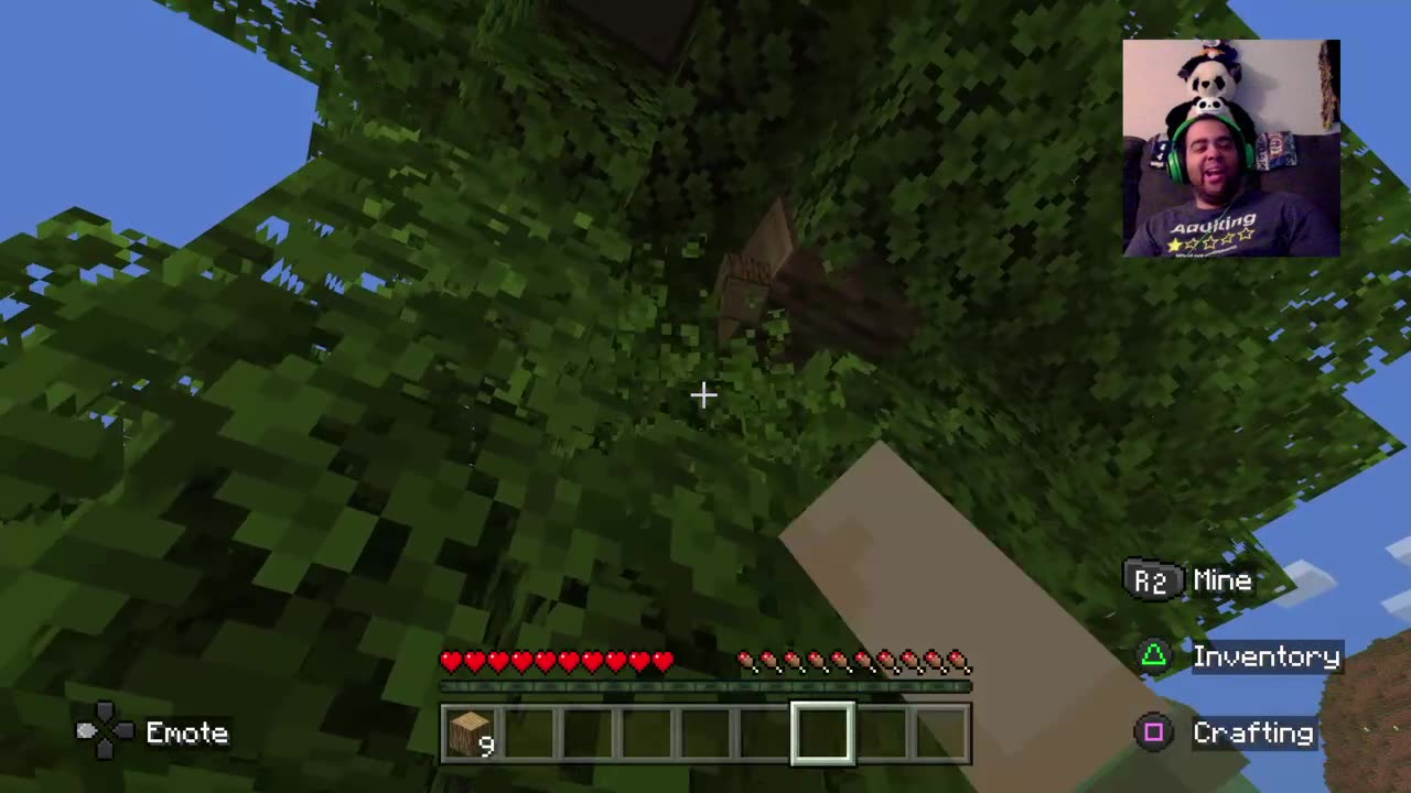 The Panda Sanctuary has come a long way!! Minecraft