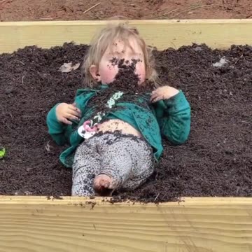 The key to a healthy immune system for life 😂